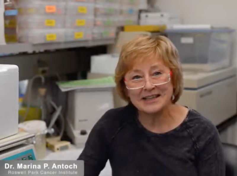 Dr. Marina Antoch