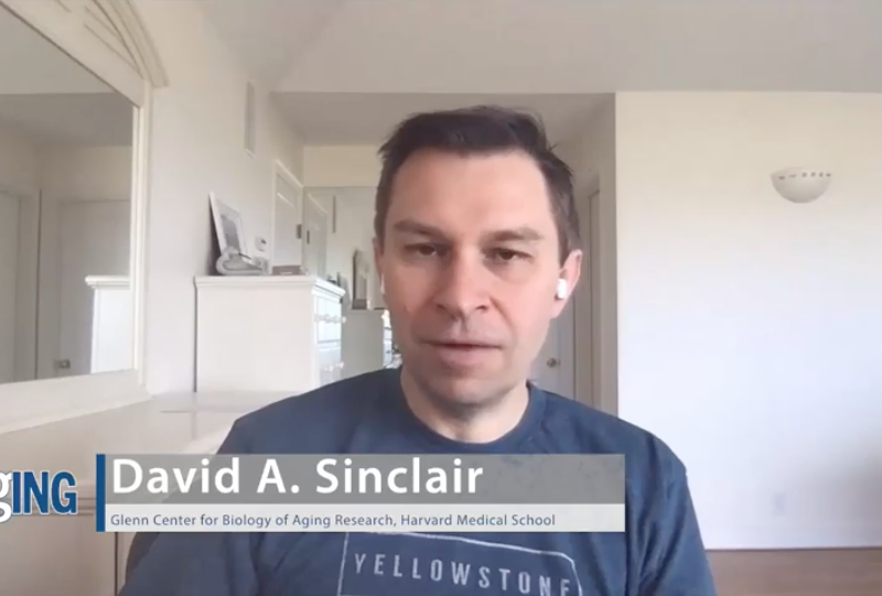 Dr. David Sinclair