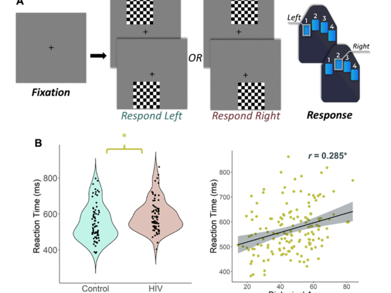 Epigenetic aging is associated with aberrant neural oscillatory dynamics serving visuospatial processing in people with HIV