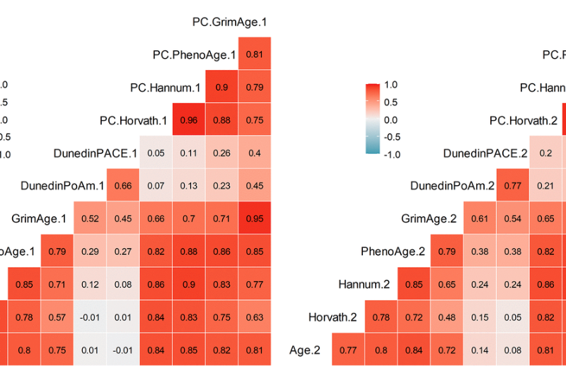 DNA methylation-based measures of biological aging and cognitive decline over 16-years: preliminary longitudinal findings in midlife