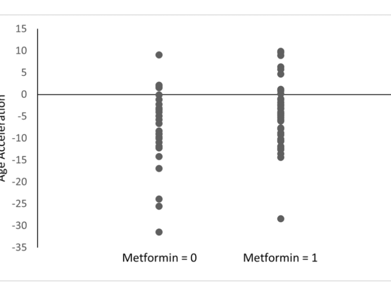 Figure 1. Age acceleration between metformin users and nonusers among the diabetes group.