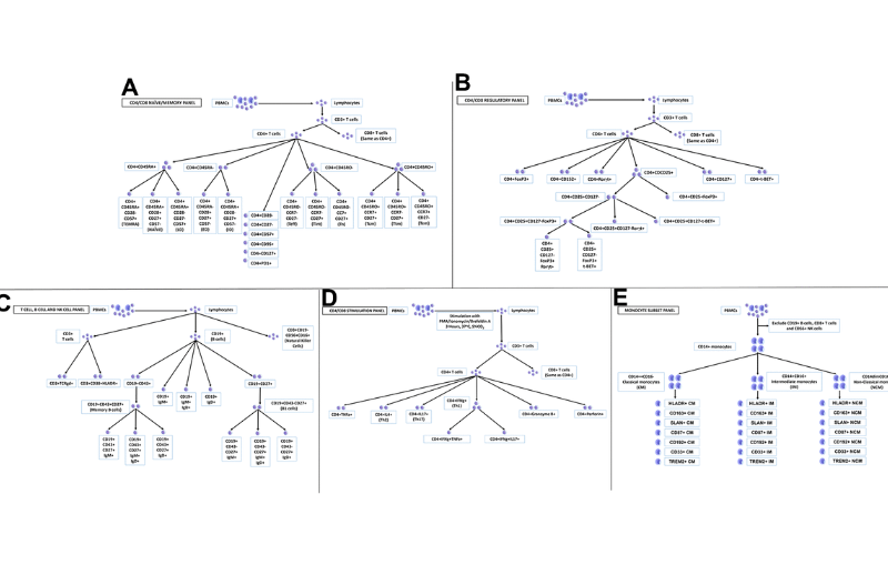 Circulating immune cell phenotypes are associated with age, sex, CMV, and smoking status in the Framingham Heart Study offspring participants