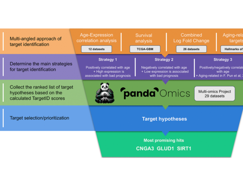Figure 1. Overall workflow of the study. [Identification of dual-purpose therapeutic targets implicated in aging and glioblastoma multiforme using PandaOmics - an AI-enabled biological target discovery platform]