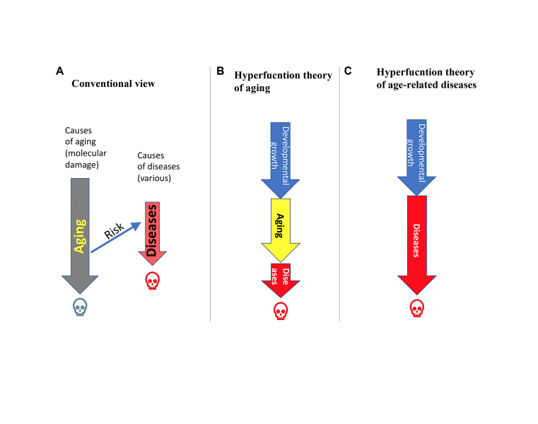 Towards disease-oriented dosing of rapamycin for longevity: does aging exist or only age-related diseases?