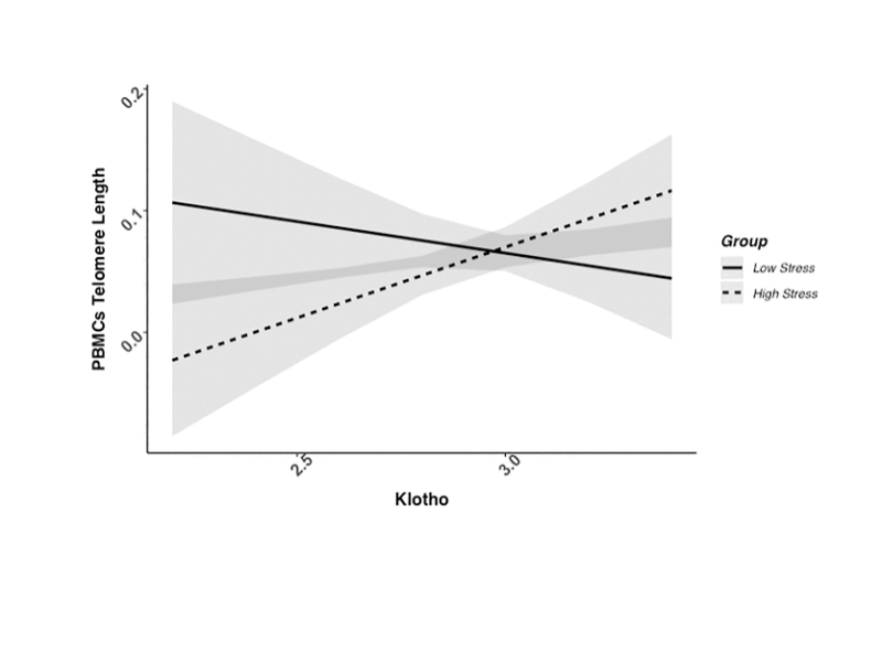 Exploring the Relationship Between Klotho and Telomere Biology in High-Stress Caregivers