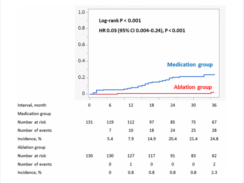 Figure 4. Progression to permanent Atrial Fibrillation in patient with paroxysmal AF at baseline (propensity score matched cohort).