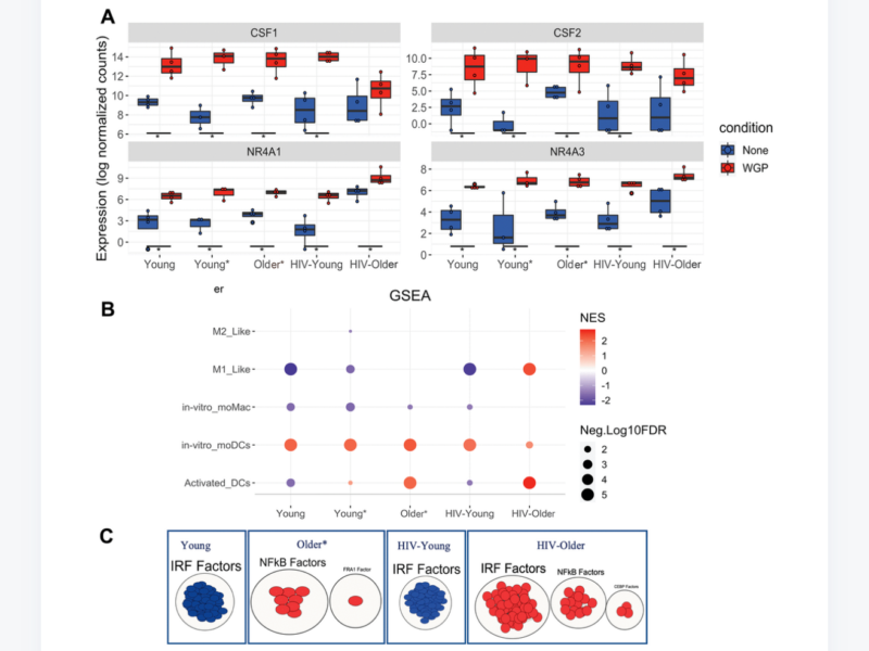 Figure 6. Dectin-1 stimulation leads to distinct signatures of differentiation.