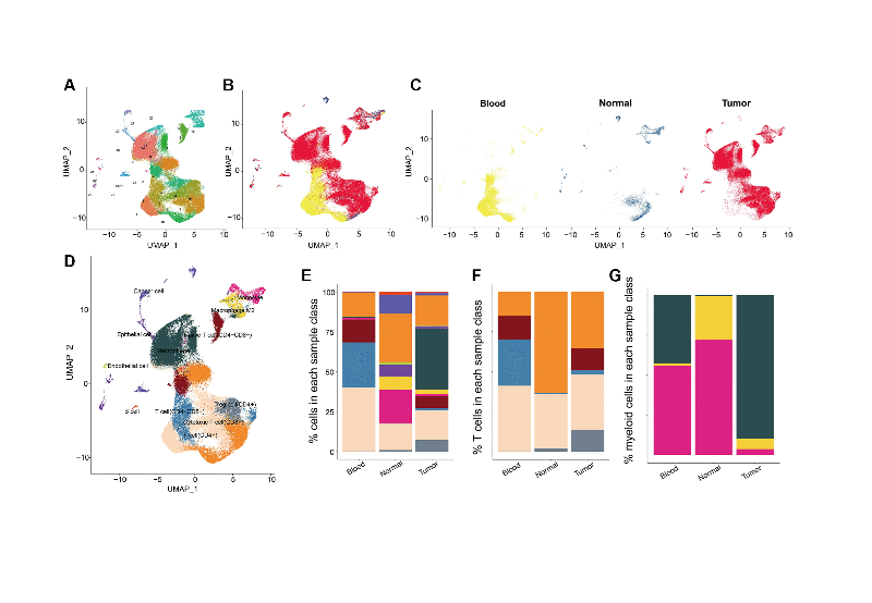 Metabolic and senescence characteristics associated with the immune microenvironment in non-small cell lung cancer: insights from single-cell RNA sequencing
