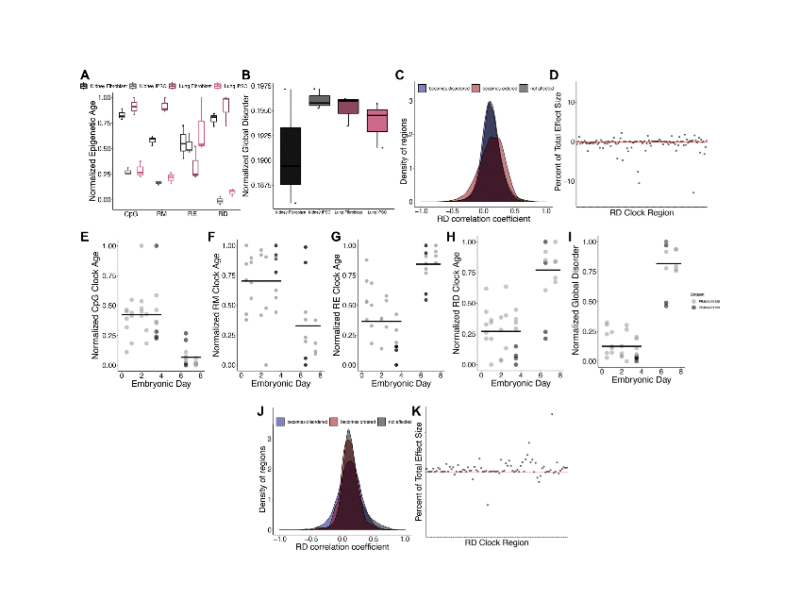 Epigenetic drift underlies epigenetic clock signals, but displays distinct responses to lifespan interventions, development, and cellular dedifferentiation
