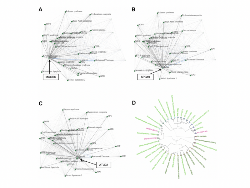 Defining the progeria phenome