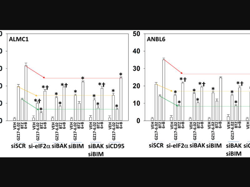 Figure 5. Correlation between epigenetic clocks and immune cell types.