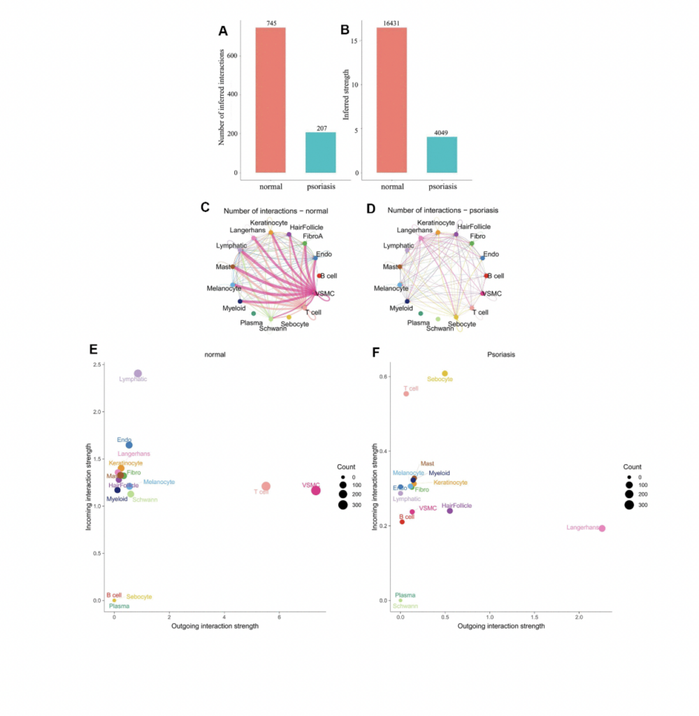Figure 1. Differences in cell subpopulation communication between psoriatic and normal skin. (A, B) Differences in the number and intensity of communications. (C, D) Interaction relationships for each cell subtype. (E, F) Differences in signal input and signal output patterns.
