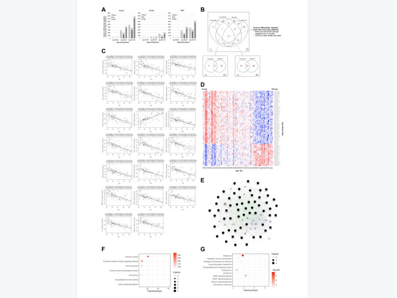Genome-wide transcriptome profiling and development of age prediction models in the human brain