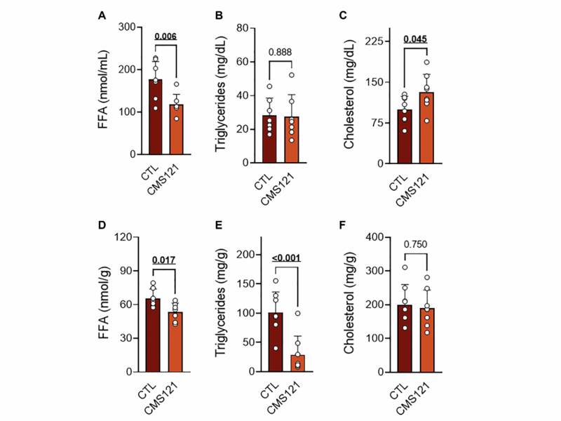 CMS121: a novel approach to mitigate aging-related obesity and metabolic dysfunction