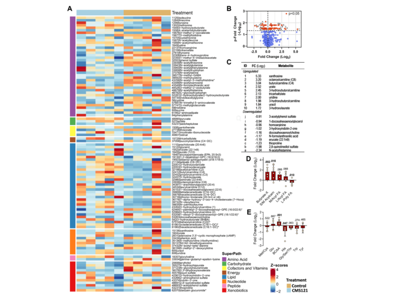 Figure 6. Effect of the CMS121 diet on plasma metabolites.