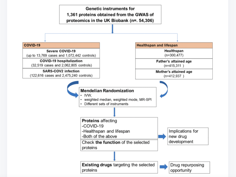 Figure 1. Flow chart of the study design.