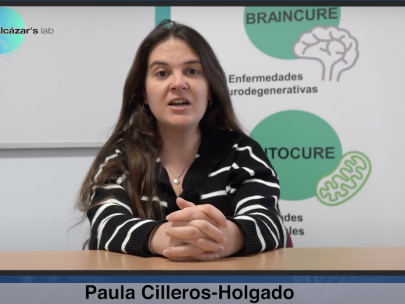 Paula Cilleros-Holgado