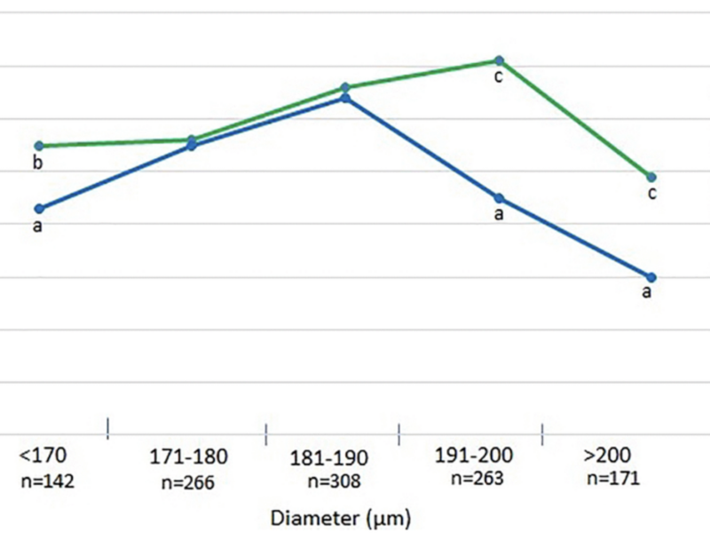 Does Blastocyst Size Matter? Exploring Reproductive Aging and Genetic Testing