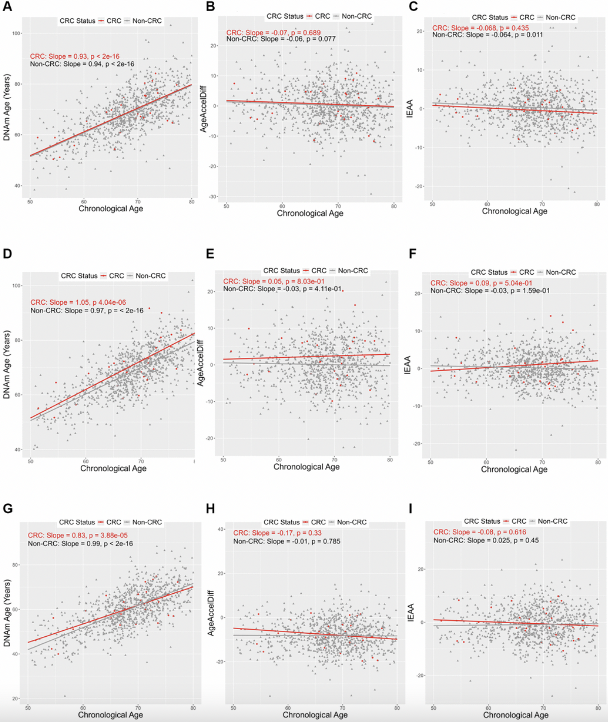 Epigenetic Aging Markers Predict Colorectal Cancer Risk in Postmenopausal Women
