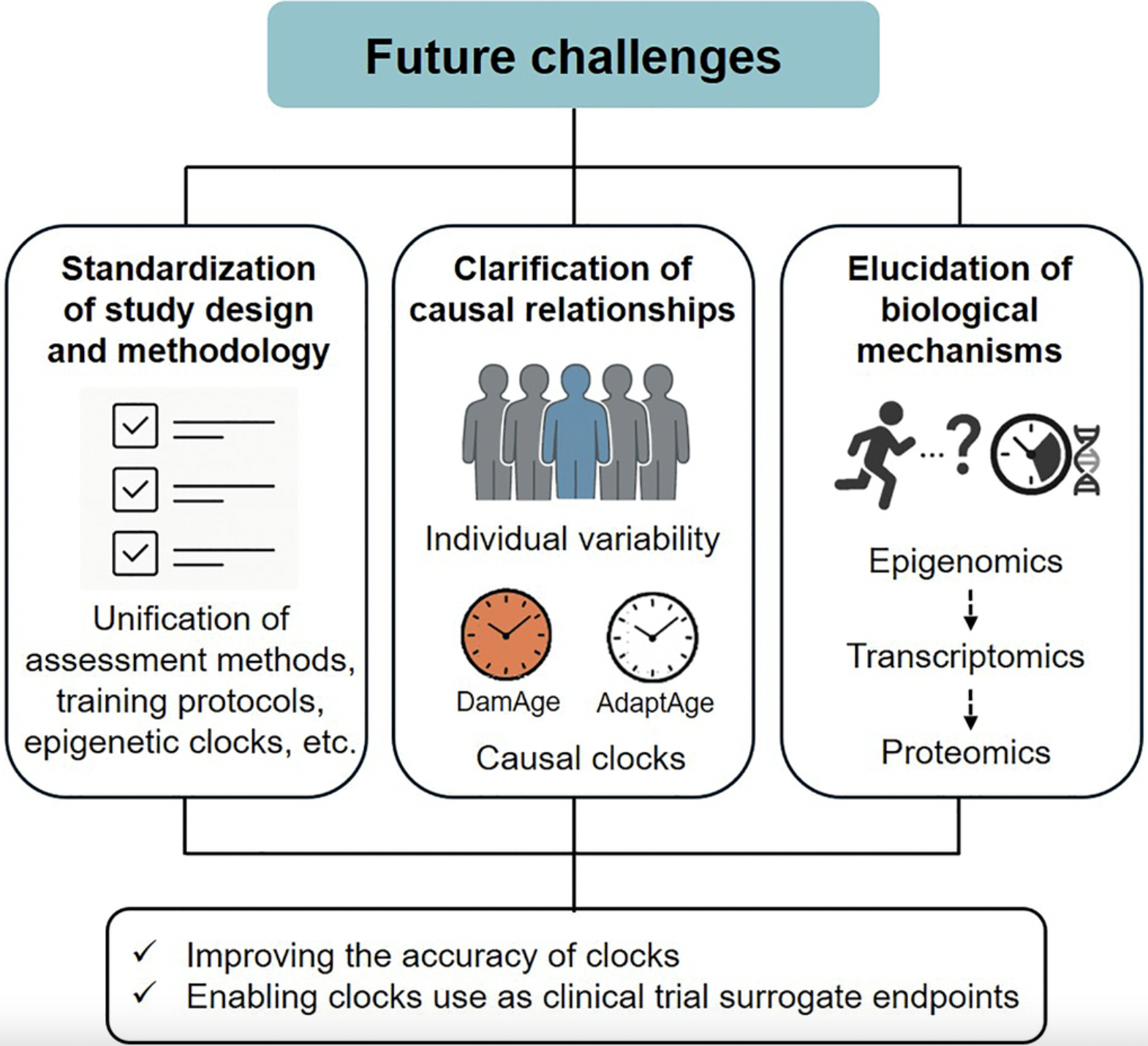 Exercise May Slow Epigenetic Aging