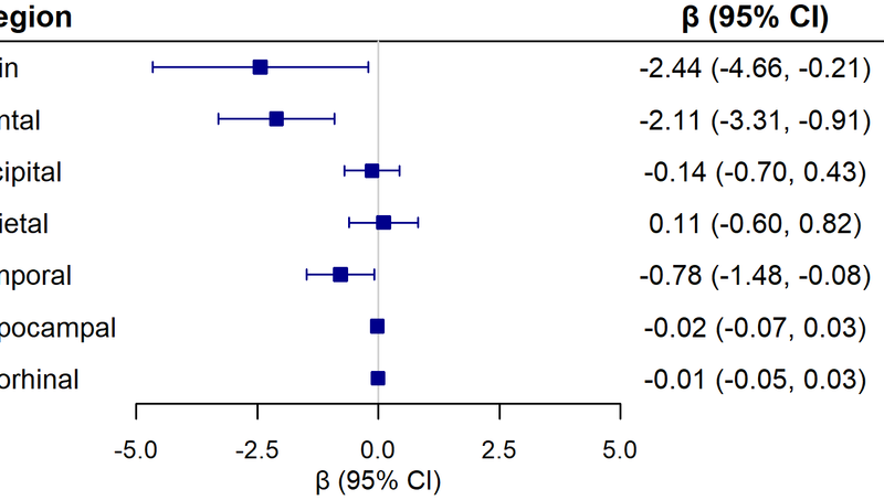 Epigenetic Aging Linked to MRI Signatures of Neurodegeneration but Not General Brain Aging