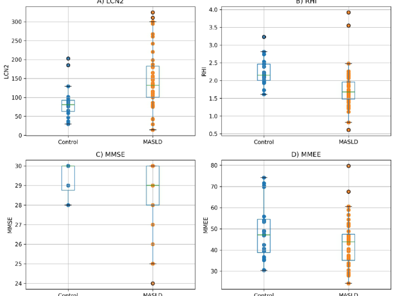 Fatty Liver Disease Linked to Early Cardiovascular and Cognitive Changes