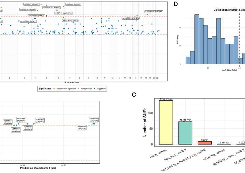 Transcriptomic Aging Clock Reveals Age-Related Molecular Patterns in Opioid Dependence
