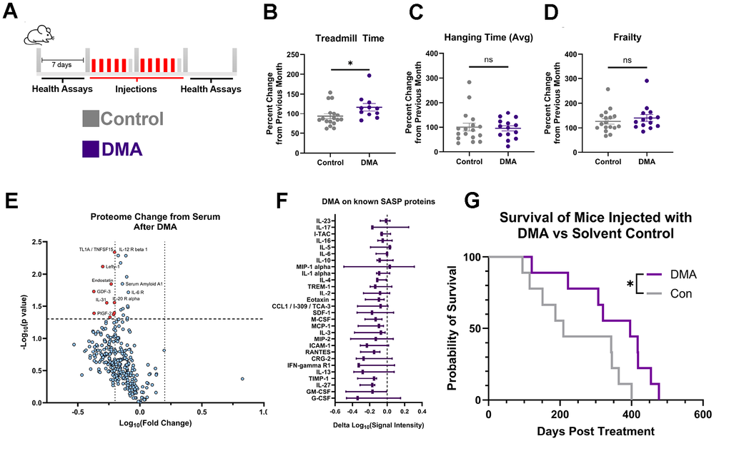 New Drug Combination Targets Cancer and Senescent Cells While Extending Lifespan in Old Mice